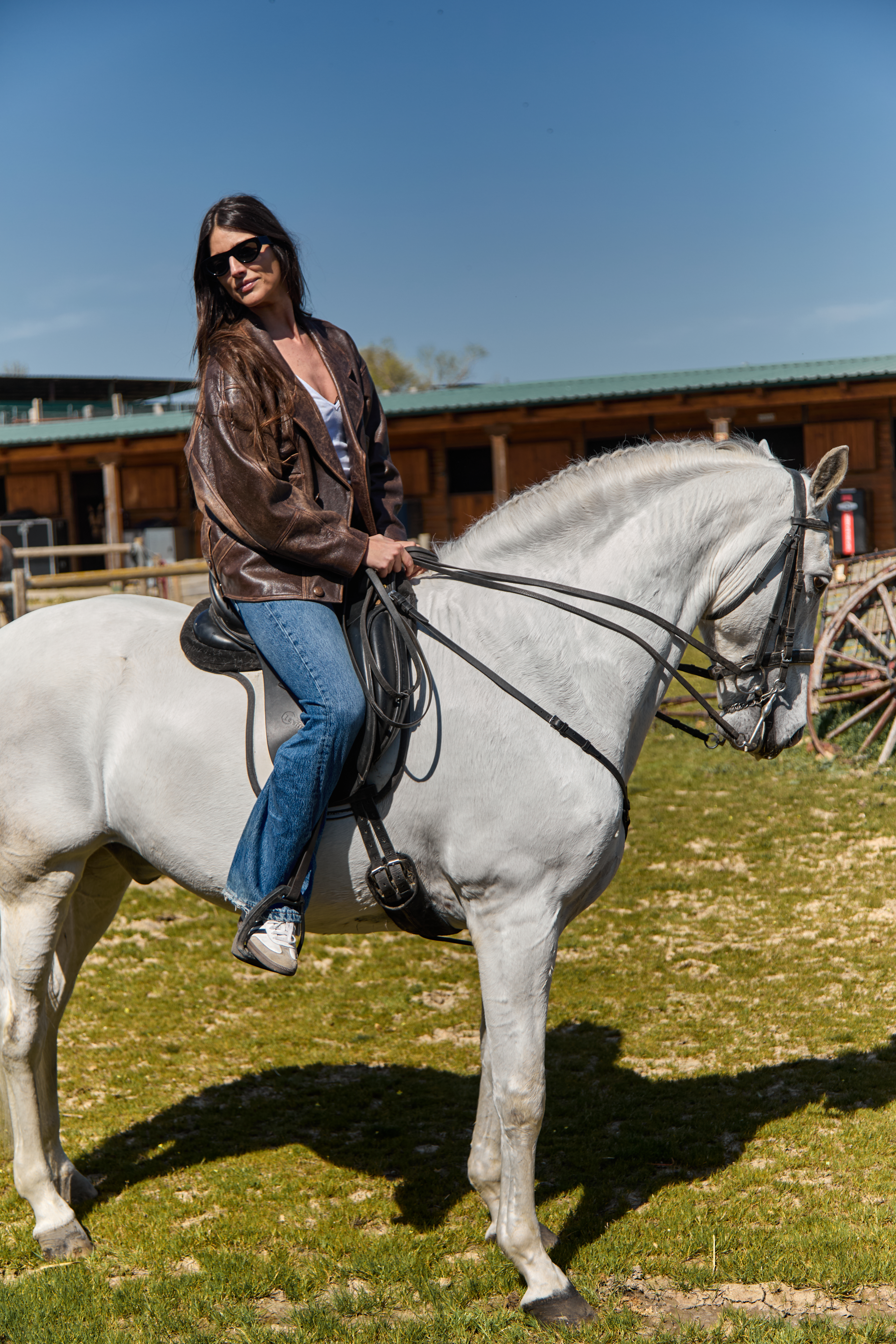 Caballo blanco